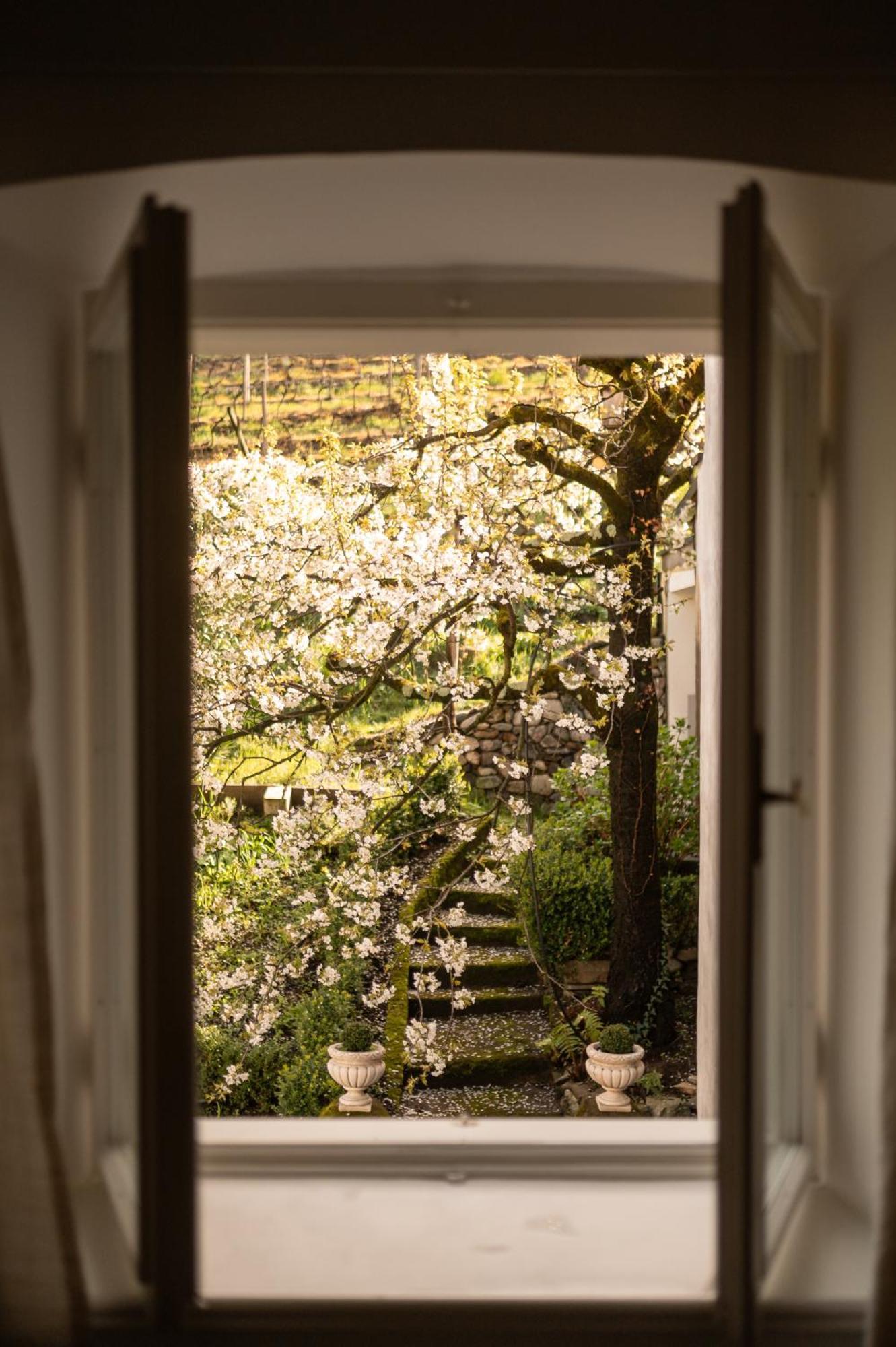 Ottmanngut Suite And Breakfast Merano Esterno foto